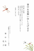とんぼと夏草の水彩イラストデザインの暑中見舞いテンプレート