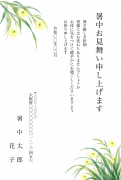 ほたると夏草の水彩イラストデザイン