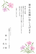 なでしこ（撫子）の水彩イラストデザイン