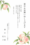 白桃のボタニカル水彩デザイン