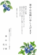 ブルーベリーとミントのボタニカルデザイン