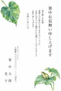 アマガエルと里芋の葉の水彩イラストデザインの暑中見舞い・残暑見舞い
