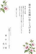 木槿（むくげ）の水彩イラストデザイン