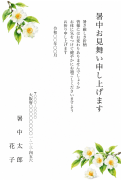 夏椿（沙羅の花）の水彩イラストデザイン