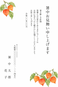 ほおずきの水彩イラストデザイン