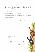 カブトムシとクワガタのイラストデザイン